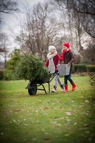Kerstboom kopen Edam