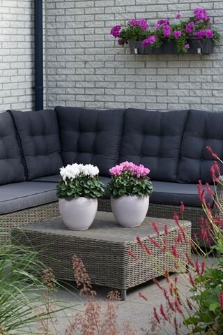 Tuinmeubelen shop in shop van tuinmeubelwereld